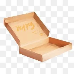 Fast Food Packaging Box